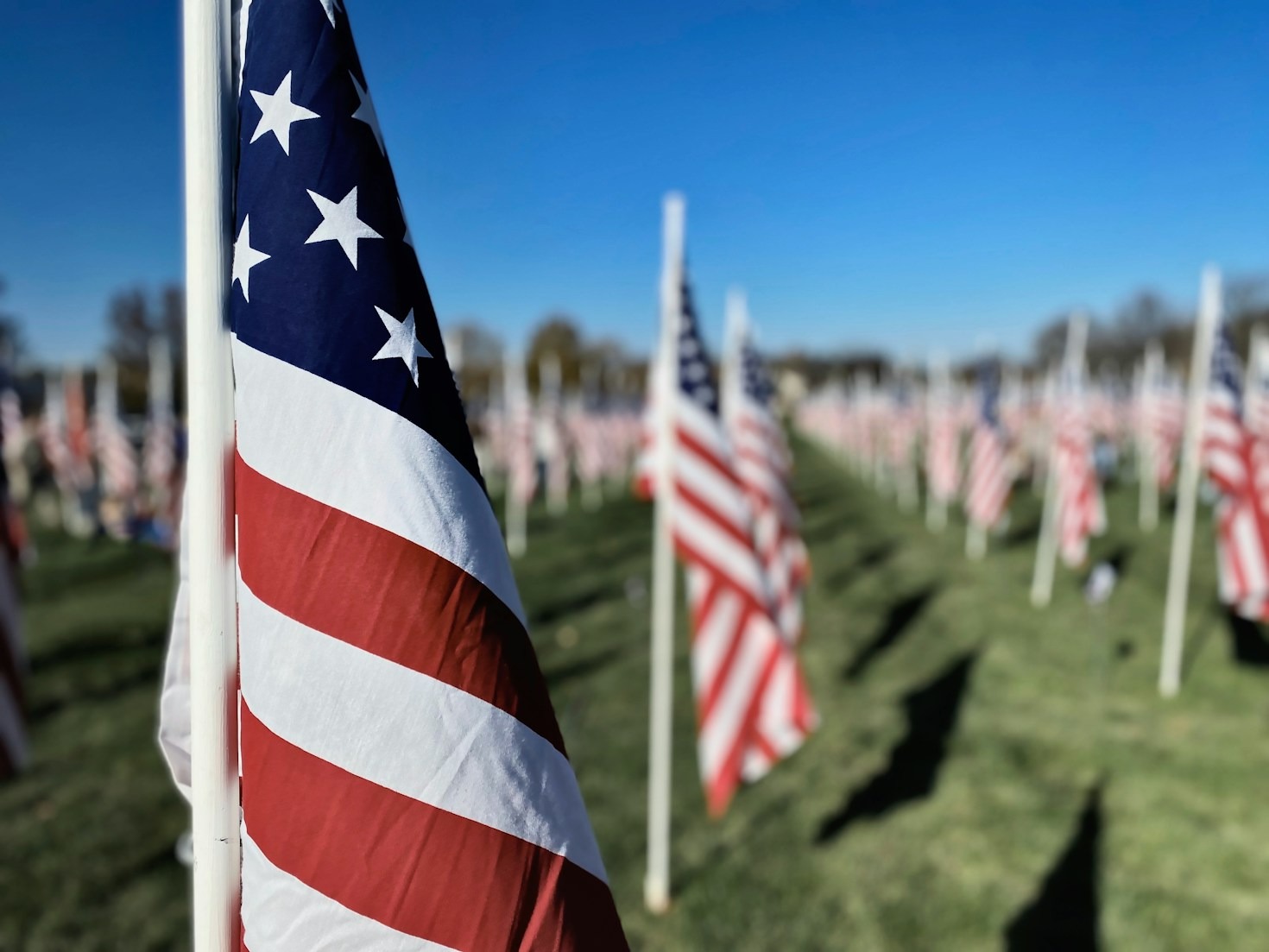 Veteran Heroes: Stories of Sacrifice and Bravery